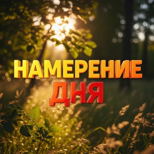 Намерение дня