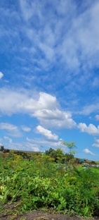 Татары- это интересно.