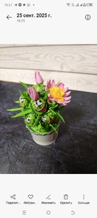 Сладкие букеты