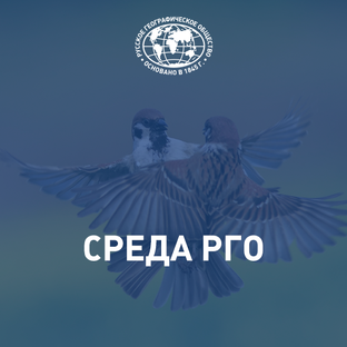 Среда РГО