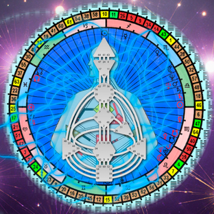 Дизайн Человека