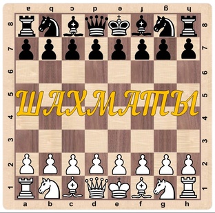 ШАХМАТЫ