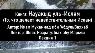 Книга: Науакыд уль-Ислям (То, что делает недействительным Ислам)