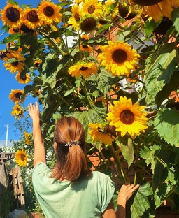 Истории про одну девушку.