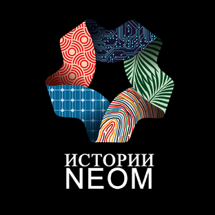 Истории NEOM