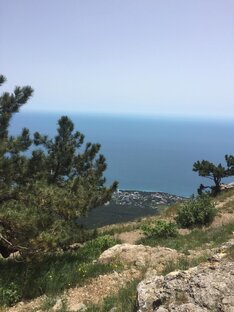 Путешествия и приключения 