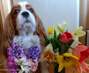 Вышивальные итоги и планы