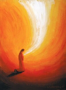 ДНЕВНИКИ ВСПОМИНАЮЩЕГО