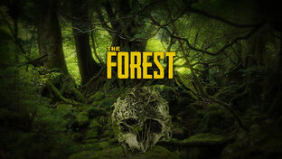 The Forest (кооператив)