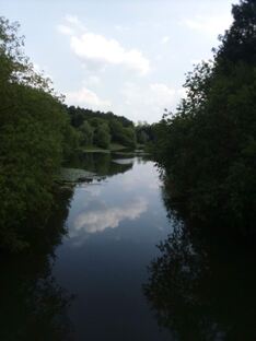 Мамина радость 