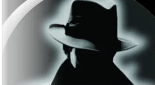 Детектив Шон. Дела 33-45