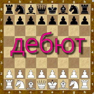 Дебют