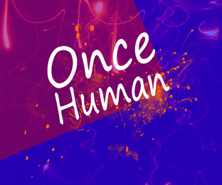 Once Human