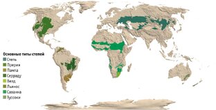 Картография