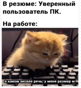 Excel. Необходимая база