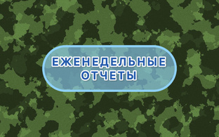 Еженедельные отчеты
