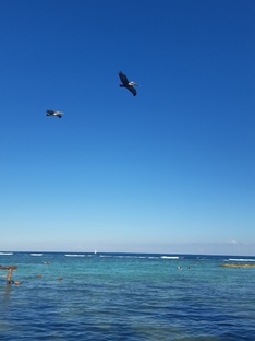 Последствия воспитания ребенка при помощи страха, стыда, вины