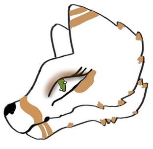 Бумажные драконы