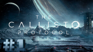  The Callisto Protocol