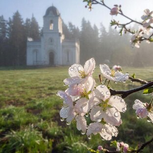 Жизнь, Вера и Путь