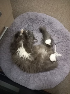 Для настроения.