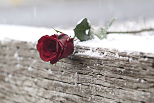 Непонятная История. О.К.