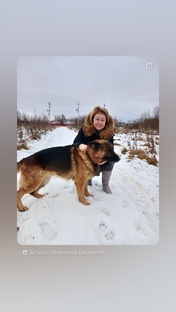 О себе, о школе, обо всем понемногу