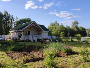 Дачные истории. 