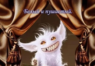 Белые и пушистые  или Раздвоение личности