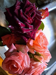 Фото каждый день 2025 год