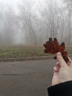 Прогулки для души