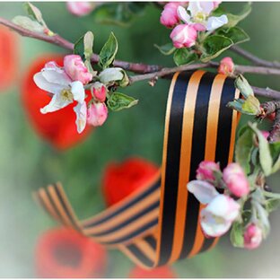 Бактериофаги и Победа