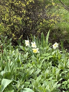 Санкт-Петербург, новый этап жизни...