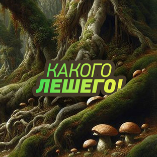 Какого лешего!