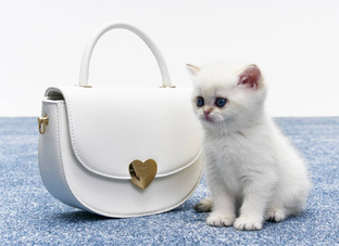 Трендовые сумки