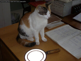 Компьютерное оборудование