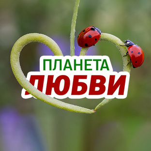 Планета любви