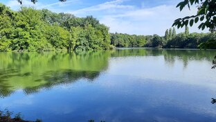 Программа подготовки к экзамену А1