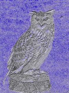 интересные моменты в истории