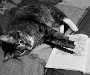 На поэтической волне