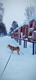 Гуляем по городу и не только