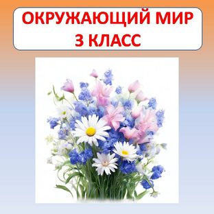 Окружающий мир 3 класс