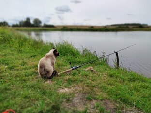 Случай на рыбалке