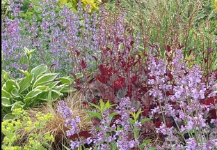 Мои цветники