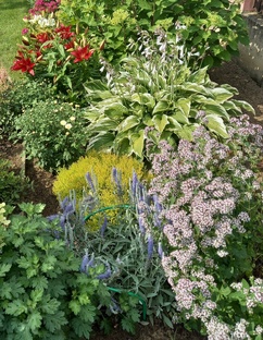 Как обустроить участок?