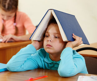 Новости образования за 1 минуту