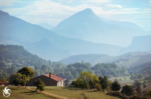 История одного кадра 