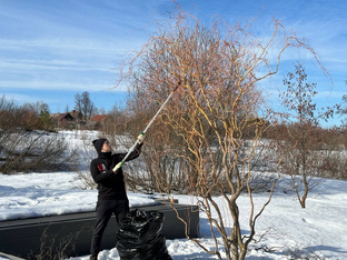 Весенняя обрезка