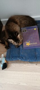 Блогерское