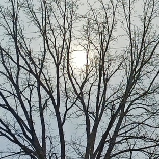 Добрые анекдоты и словесные измышления 